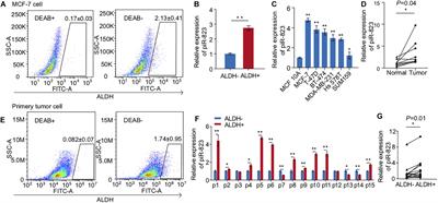 piRNA-823 Is Involved in Cancer Stem Cell Regulation Through Altering DNA Methylation in Association With Luminal Breast Cancer